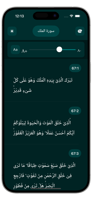Surah Mulk Pro Reader Screenshot 2 of 4