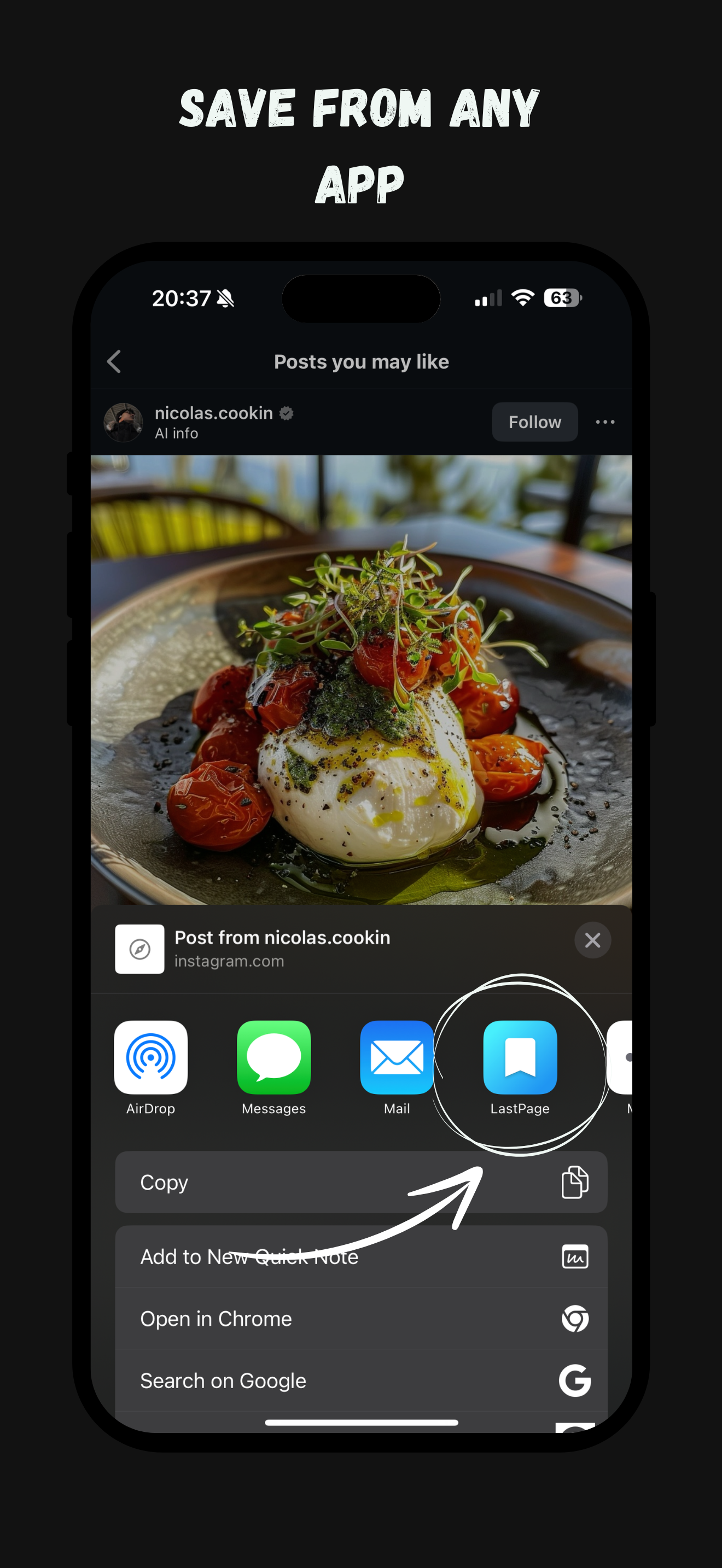 LastPage: Save Any Link