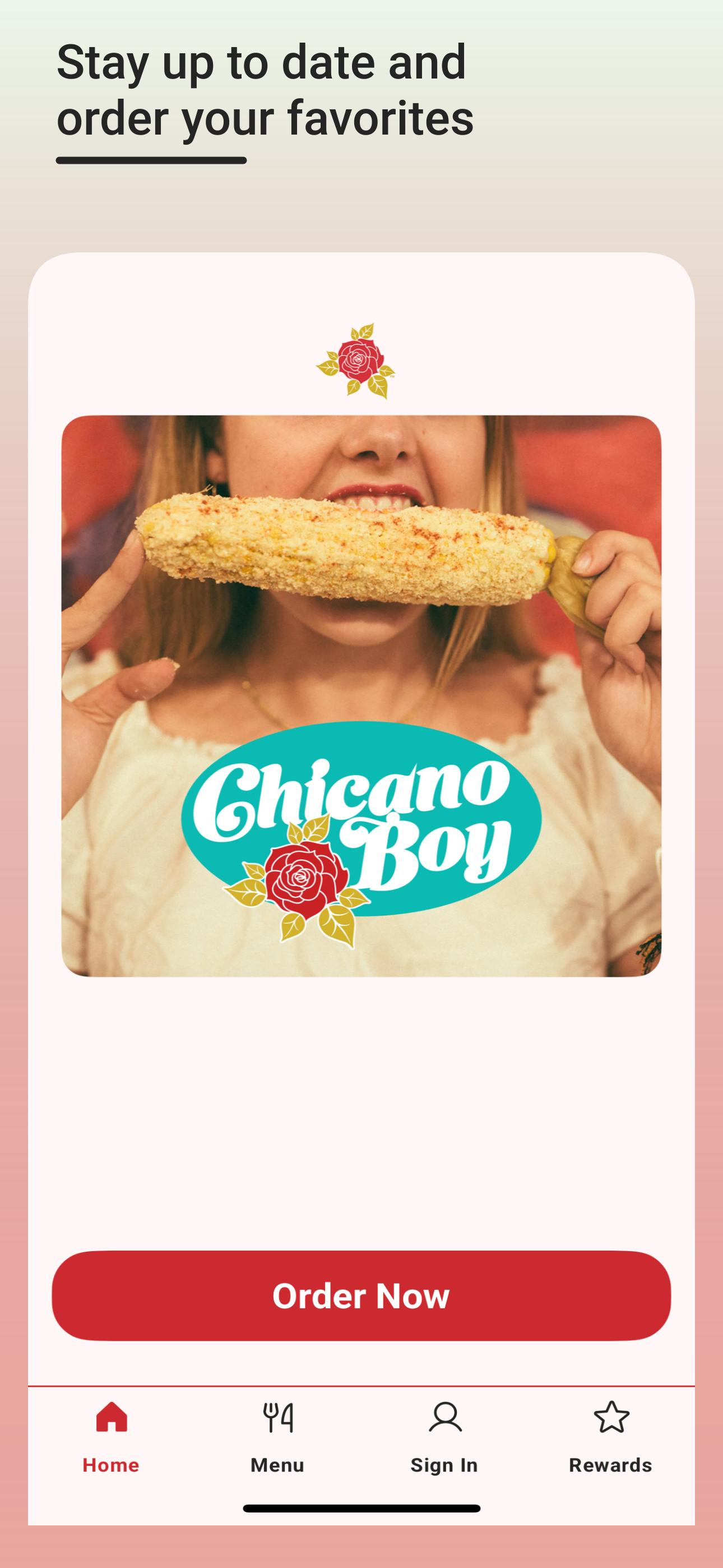 Chicano Boy Taco App