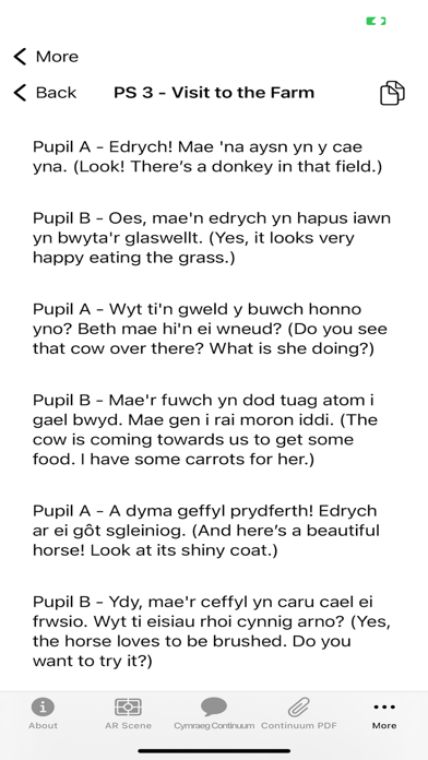 CaruCymru Screenshot