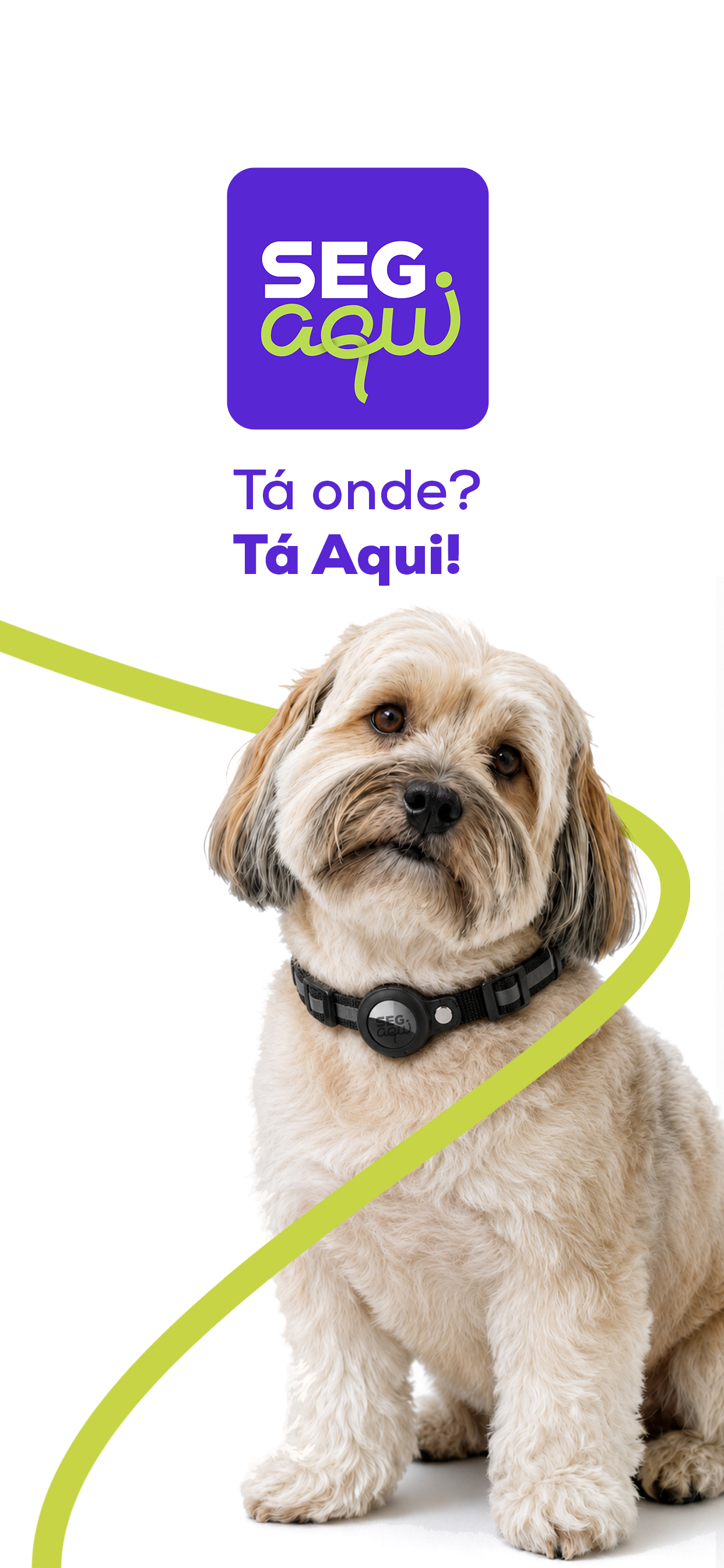 SegAqui screenshot 6
