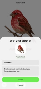 A Bird A Day screenshot