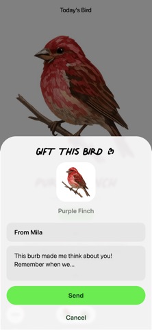 A Bird A Day screenshot