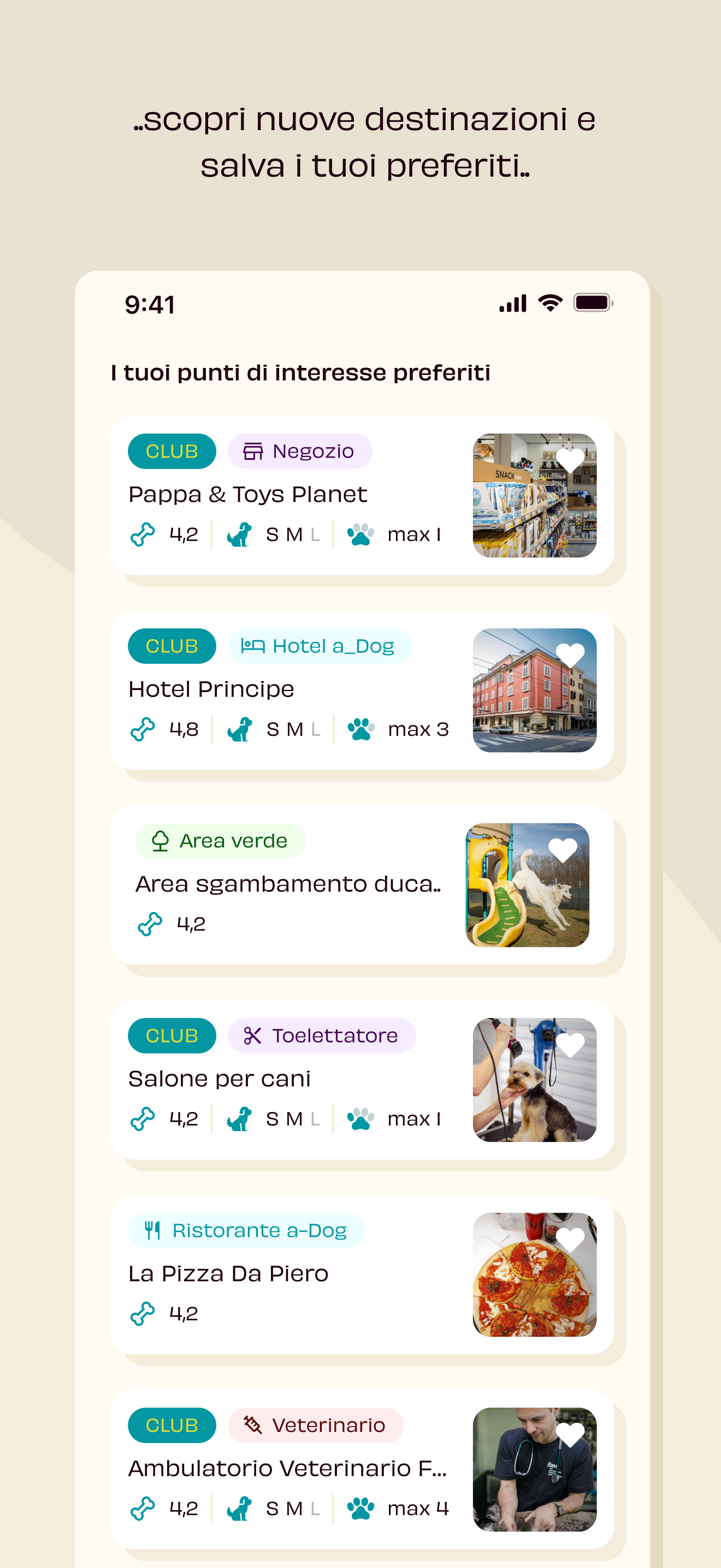 Nomadog® Viaggiare con il cane