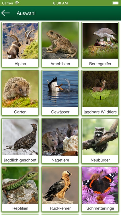 BJV Wild Experte Jagd screenshot-3