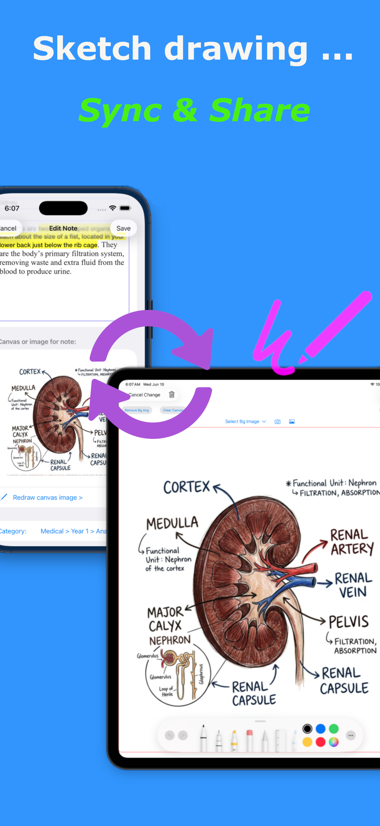 HandyNote: Text, Canvas, Audio screenshot 4