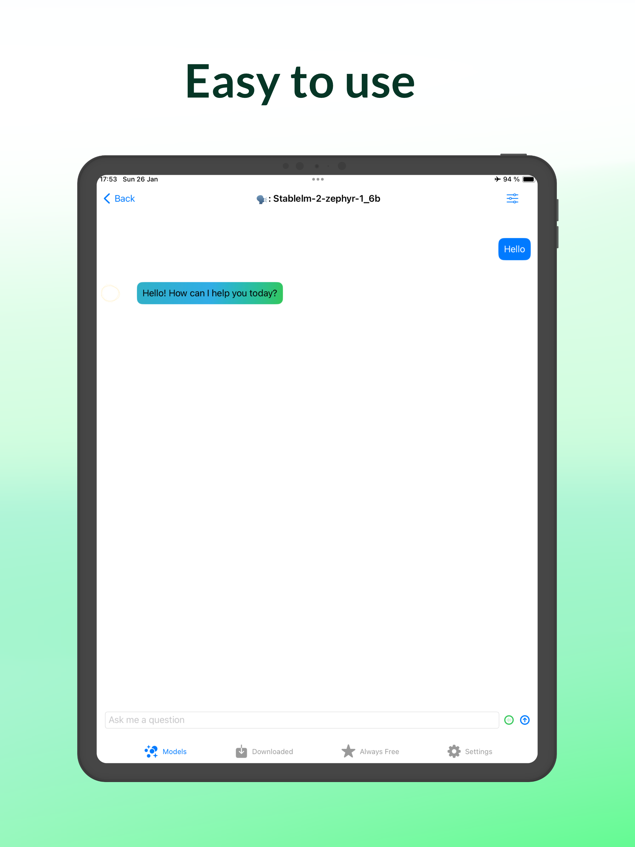 Privacy AI Offline Chat Bot