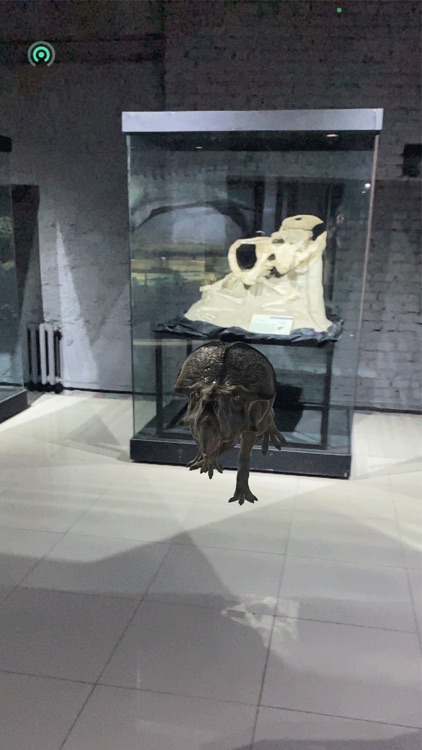 Байгалийн Түүхийн Музей