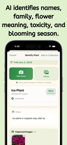 Infinite Plant Identifier AI iPhone screenshot
