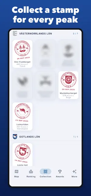 Kommunfångst screenshot 4