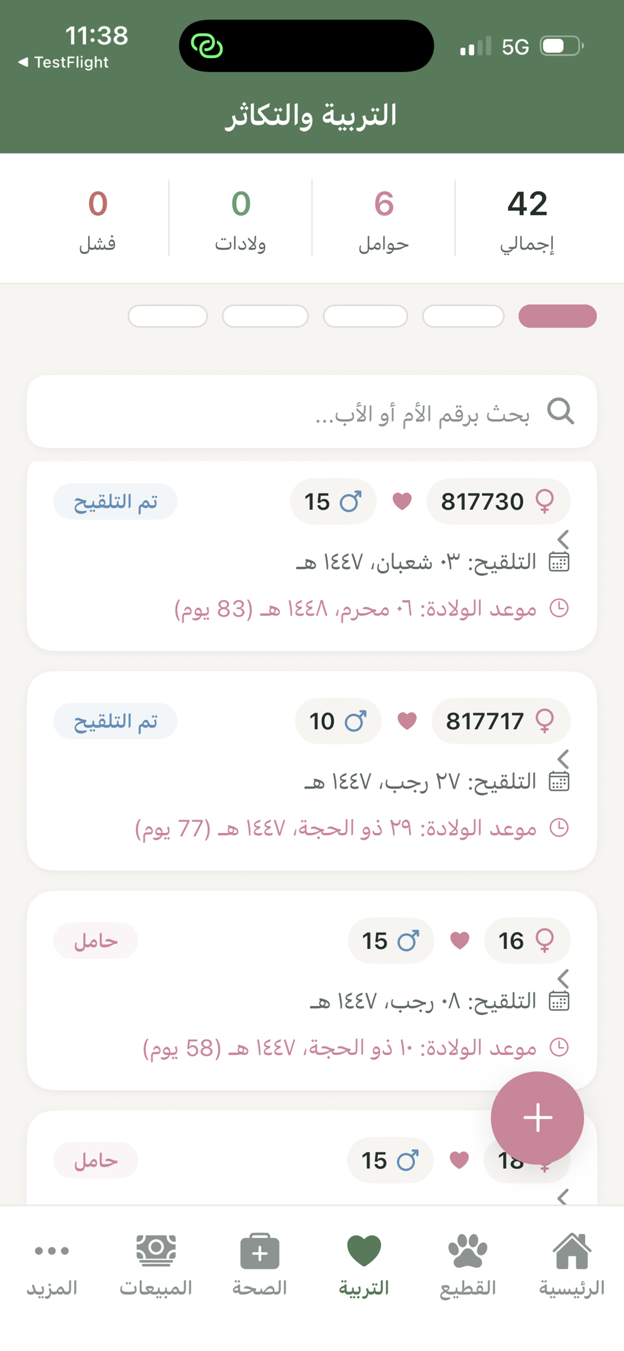وبر وصوف