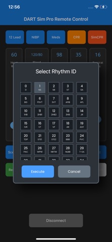 DART Sim Pro Remote Screenshot 5 of 5