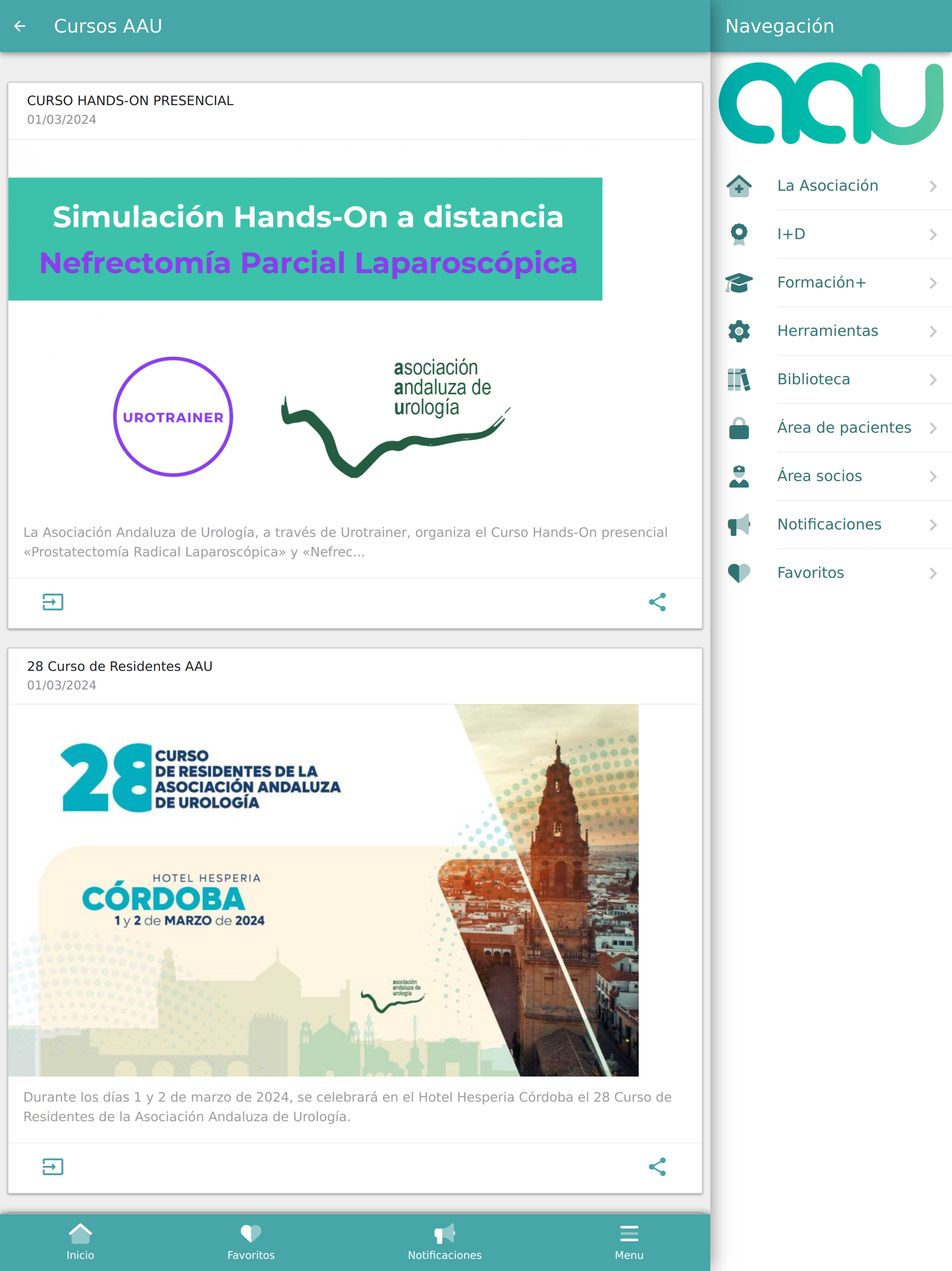 ASOCIACION ANDALUZA UROLOGIA screenshot 8