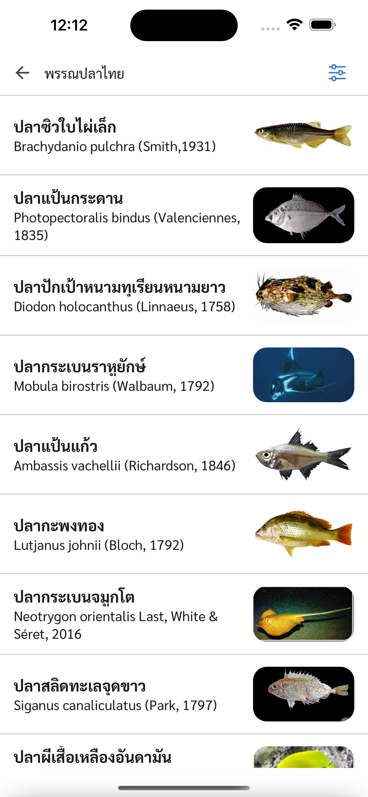 Thailand Fish AI