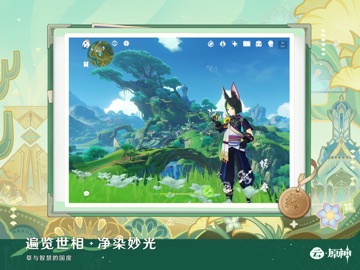 云·原神 iPad screenshot 7