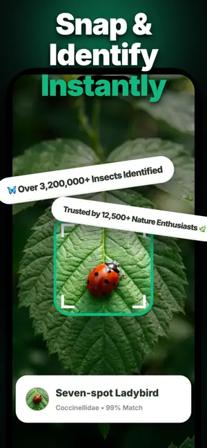 WhatBug: Insect Identifier screenshot 1