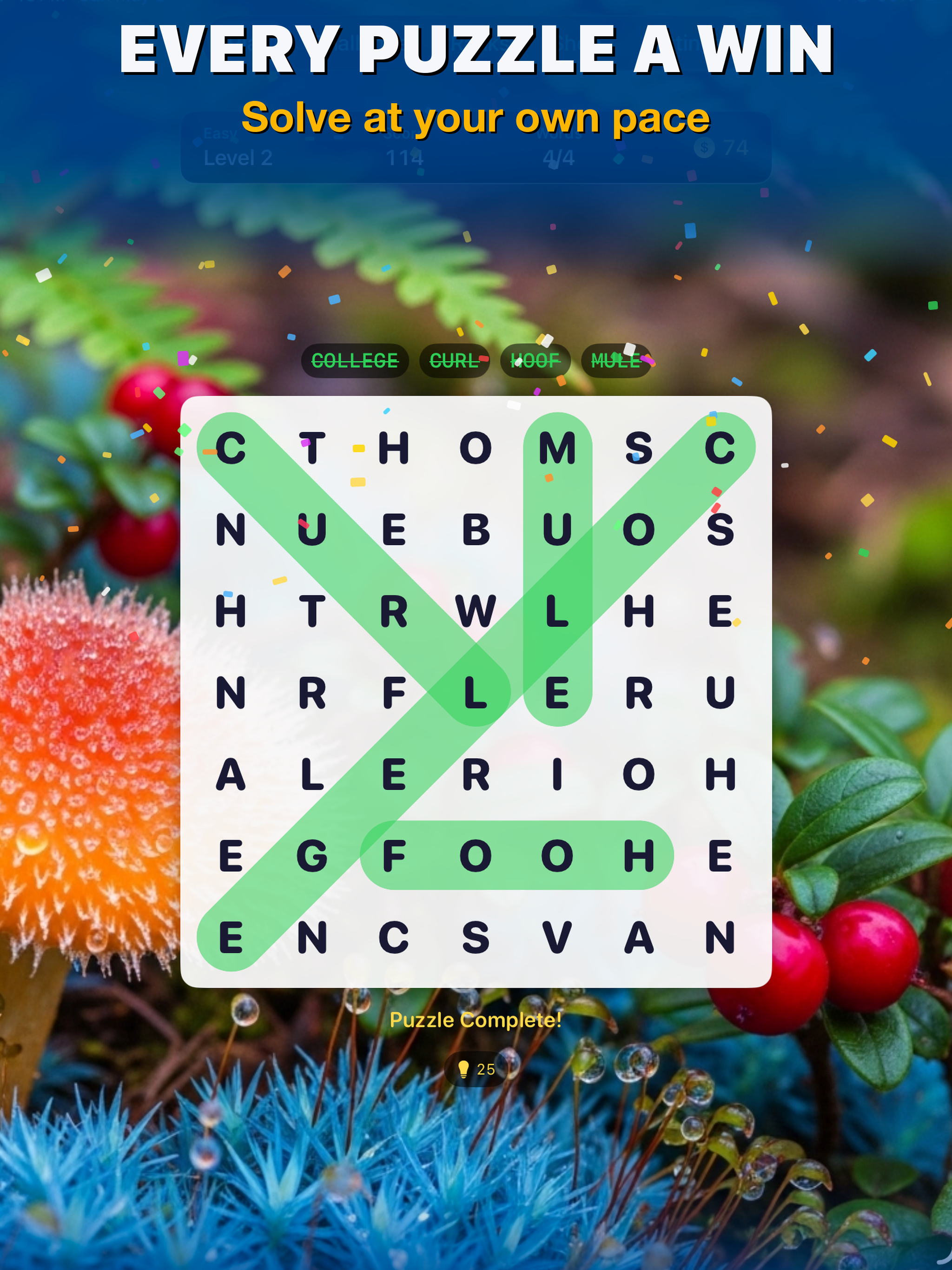 WordAmazing Brain Workout