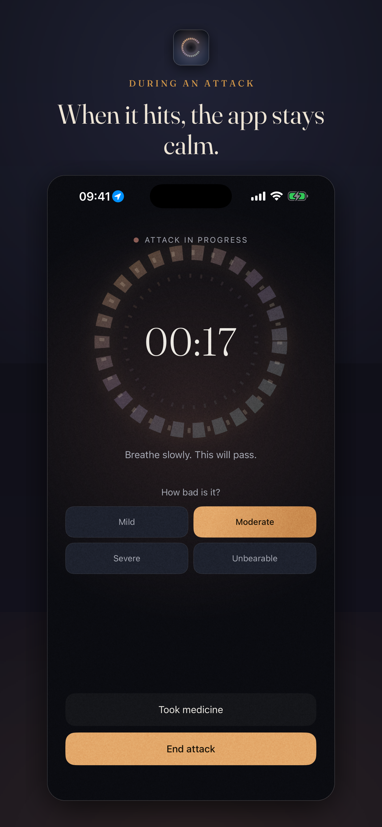 Lun: Migraine Diary screenshot 6