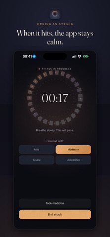 Lun: Migraine Diary Screenshot 6 of 6