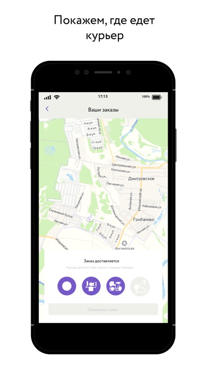 Важный гусь