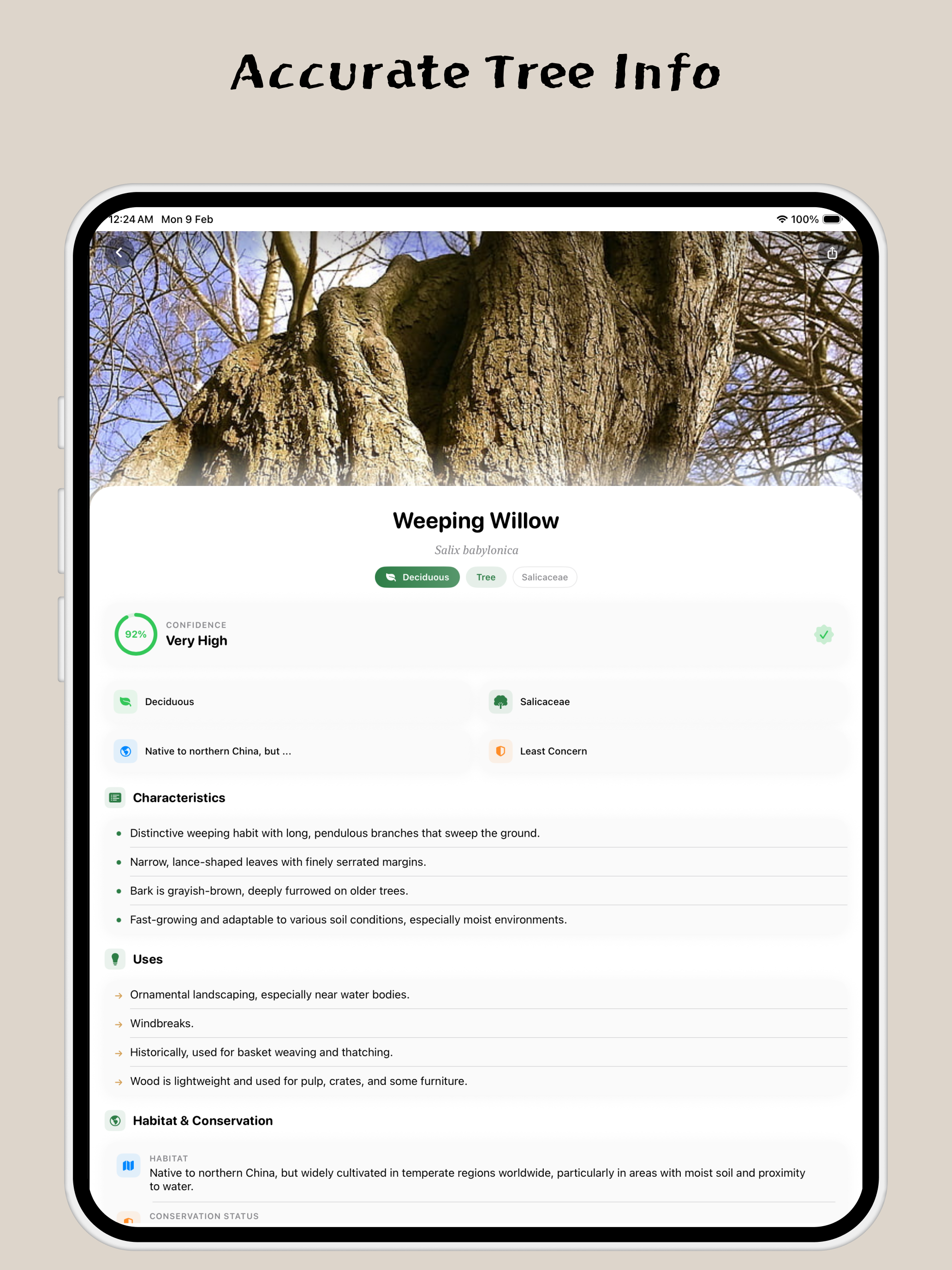 Tree Identifier: AI Tree ID ® | AppFollow | App’s reputation platform