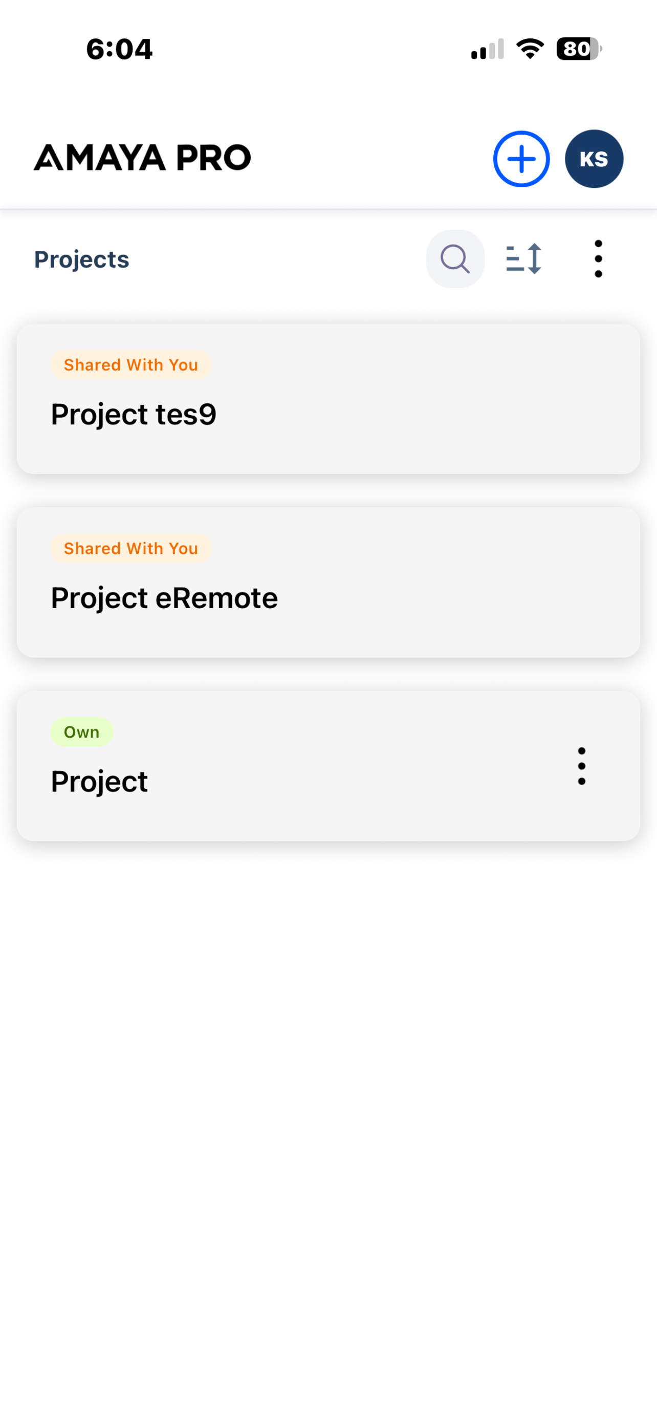 Amaya Pro screenshot 2