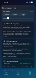 StegInsight screenshot 3