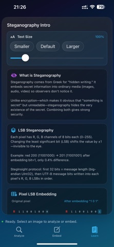StegInsight Screenshot 3 of 5