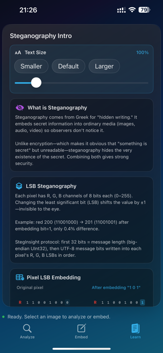 StegInsight Screenshot 3 of 5