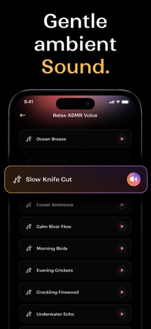 ASMR Video Maker - AI ASMR Art screenshot