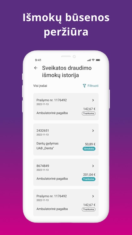Lietuvos draudimas screenshot-5