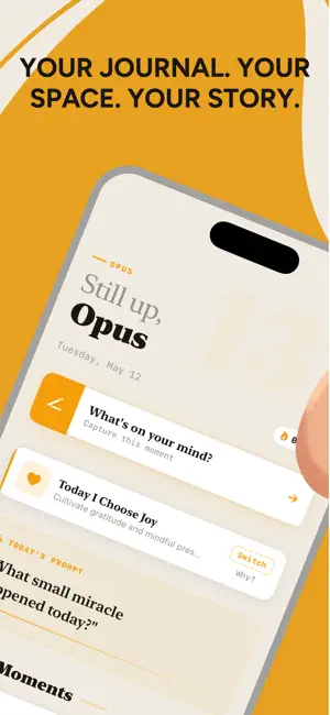 Opus - Daily Journal screenshot 2