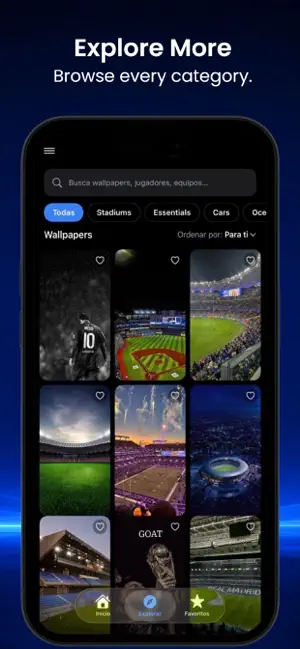 WallStar Set screenshot 4