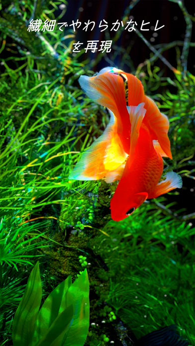 RYUKINのスクリーンショット