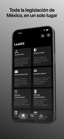 LexMX Screenshot 6 of 10