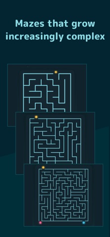 Which Way? Simple Maze Puzzle iPhone screenshot