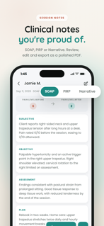Massage Scribe: SOAP Notes screenshot 3
