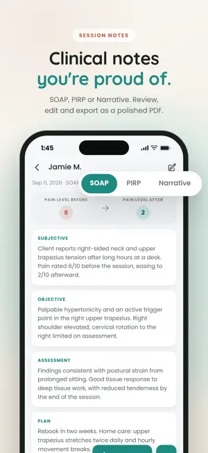 Massage Scribe: SOAP Notes screenshot 3