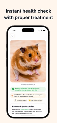 Hamster Expert Screenshot 3 of 4
