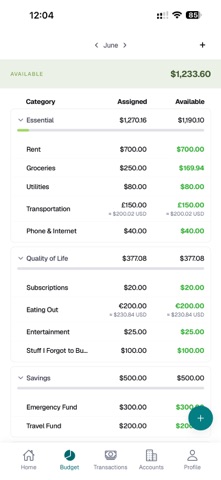 Nomad Budget – Multi-Currency Screenshot 2 of 5