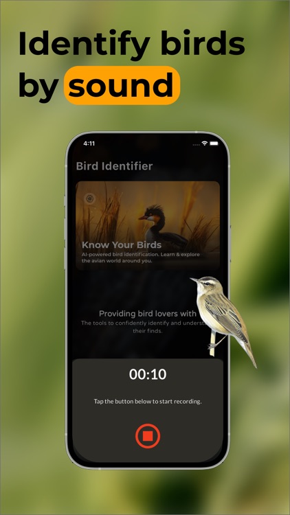 Bird Call Identifier - Bird ID screenshot-4