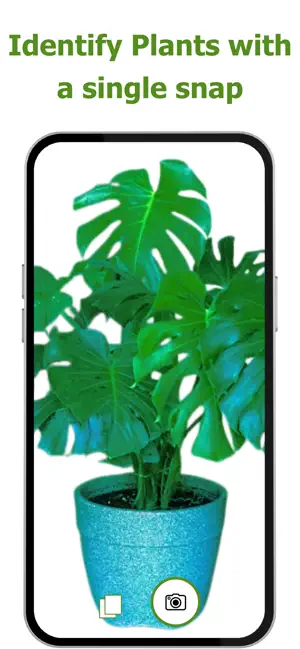 Plant Identifier: Plant Bay screenshot 1