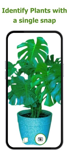 Plant Identifier: Plant Bay screenshot