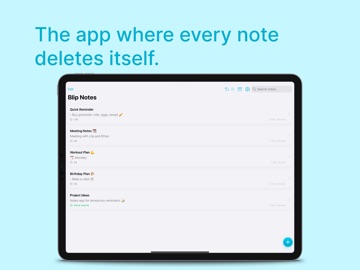 Blip Notes iPad screenshot