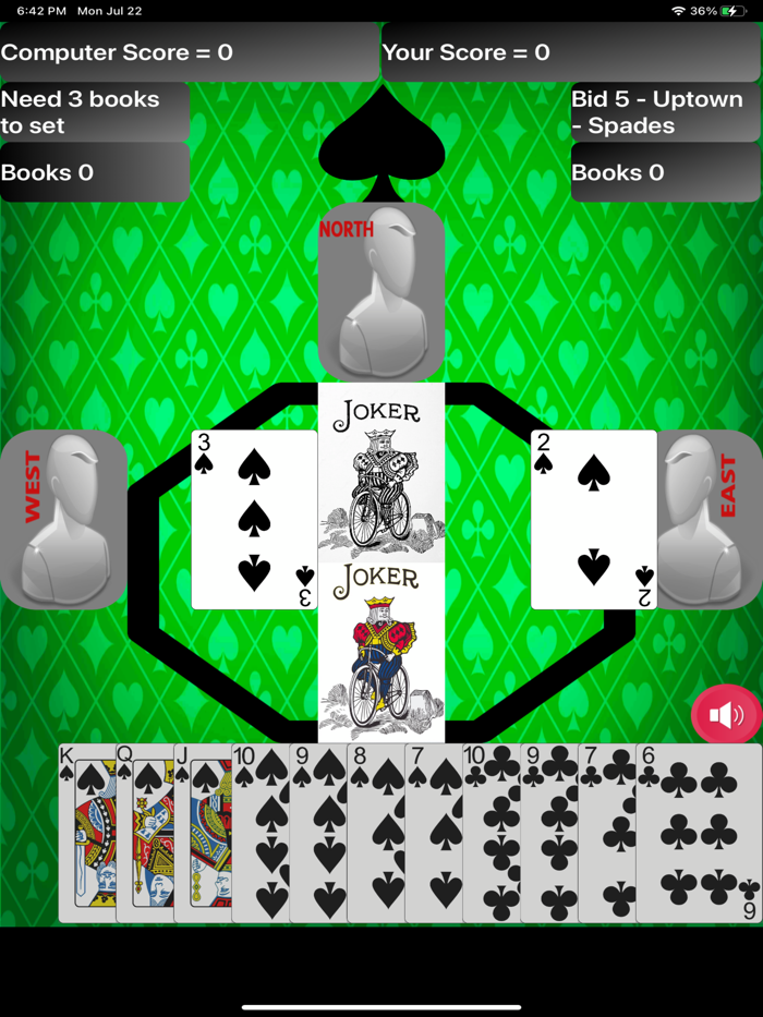 Bid Whist Family Reunion