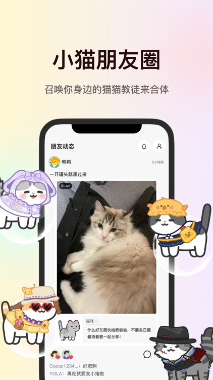 陪宠 - 把猫咪装进口袋 screenshot-3