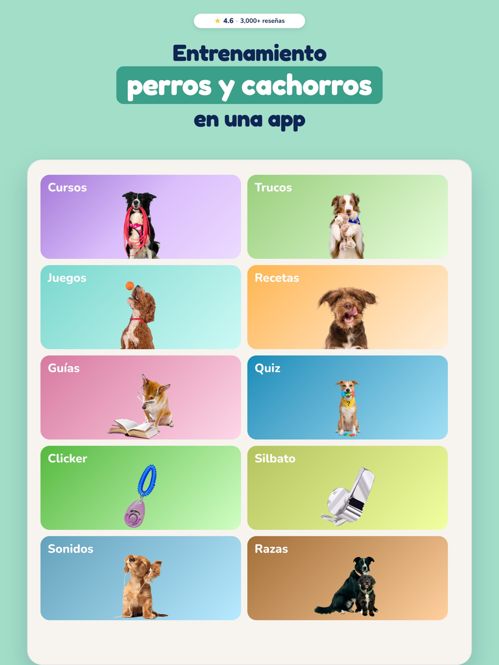 Vista previa de Hundeo | Premium