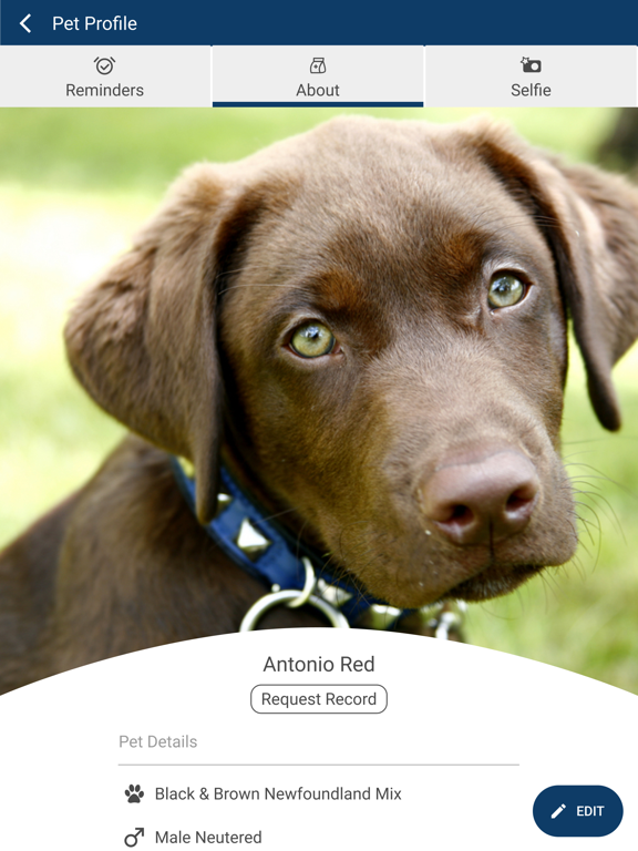 Ark Animal Hospital iPad screenshot 3 - Business app