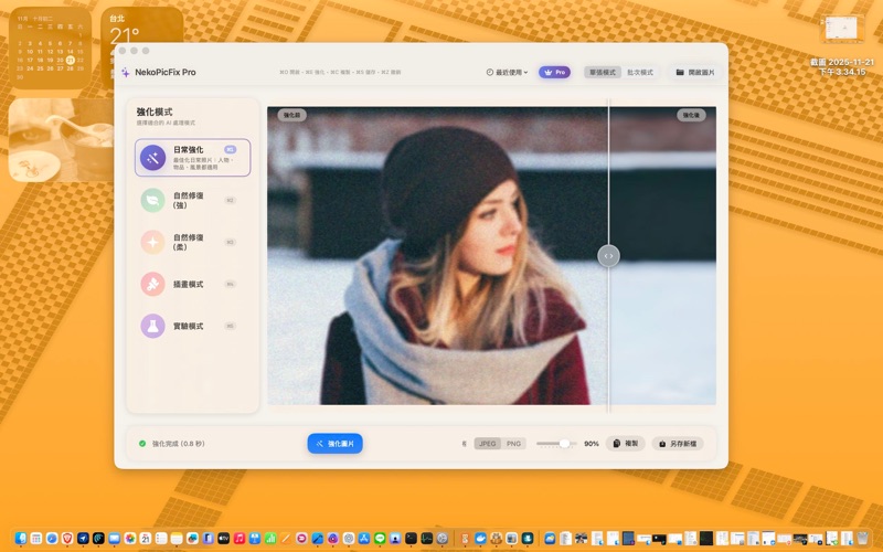 NekoPicFix screenshot