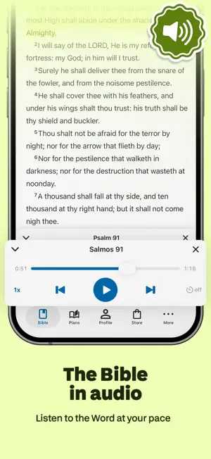 Bible Offline JFA screenshot 3